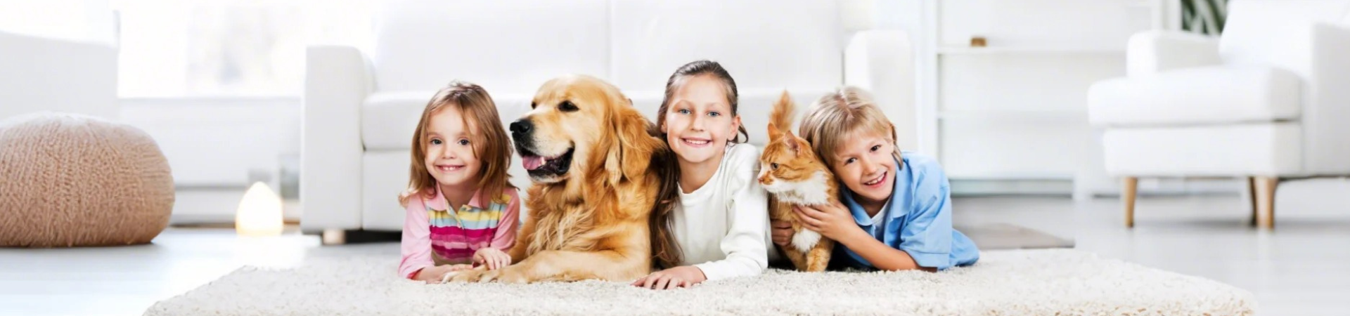 collection-banner-image