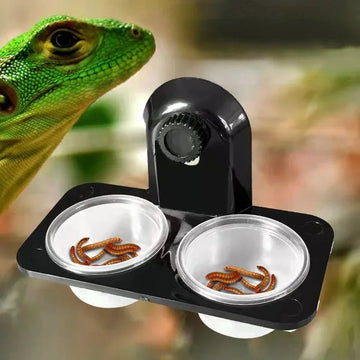 Crested Gecko Feeding Ledge Reptile Water and Food Dish-ROROZ PETSUPPLIER