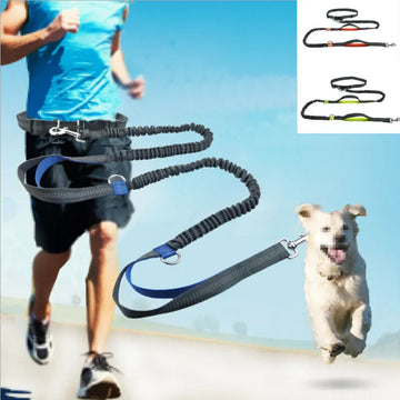 Reflective Leash Traction Rope Pet Dog Running Belt-ROROZ PETSUPPLIER
