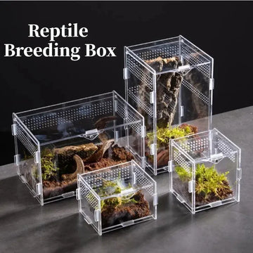 Reptile Habitat Terrarium Breeding Box-ROROZ PETSUPPLIER