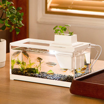 Mini fish landscape creative small tropical tank-ROROZ PETSUPPLIER