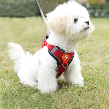 Harness Set Adjustable Dog Collar-ROROZ PETSUPPLIER