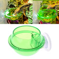 Reptile Anti-escape Food Bowl Cup-ROROZ PETSUPPLIER