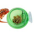 Reptile Anti-escape Food Bowl Cup-ROROZ PETSUPPLIER