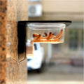 Crested Gecko Feeding Ledge Reptile Water and Food Dish-ROROZ PETSUPPLIER