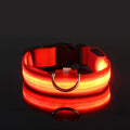 Nylon LED Night Safety Flashing Glow In The Dark Dog Leash-ROROZ PETSUPPLIER