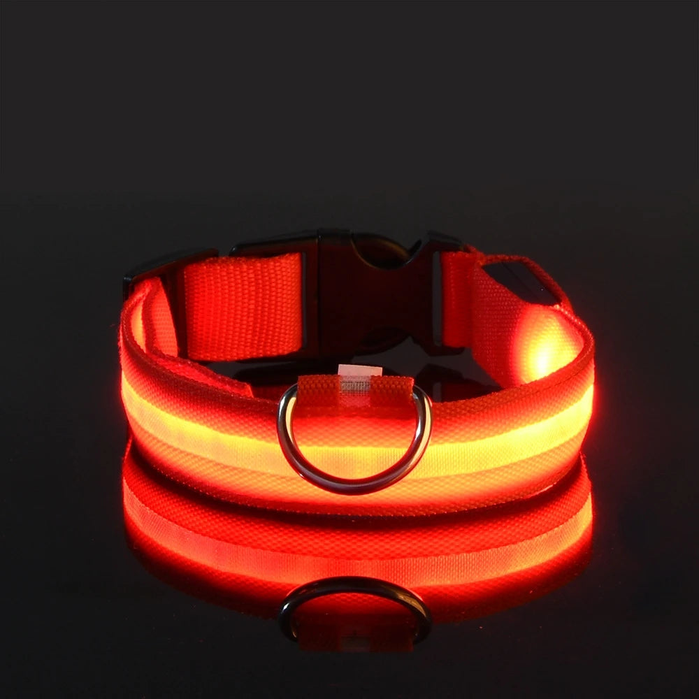Nylon LED Night Safety Flashing Glow In The Dark Dog Leash-ROROZ PETSUPPLIER