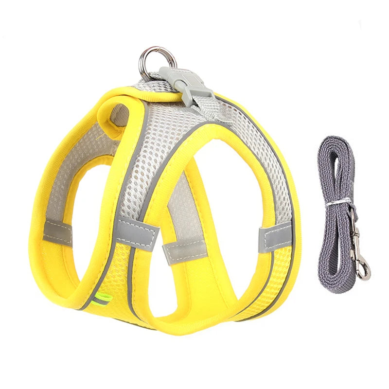 Harness Leash Set for Small Dogs-ROROZ PETSUPPLIER