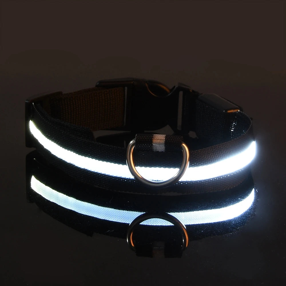 Nylon LED Night Safety Flashing Glow In The Dark Dog Leash-ROROZ PETSUPPLIER