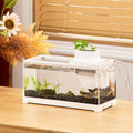 Mini fish landscape creative small tropical tank-ROROZ PETSUPPLIER