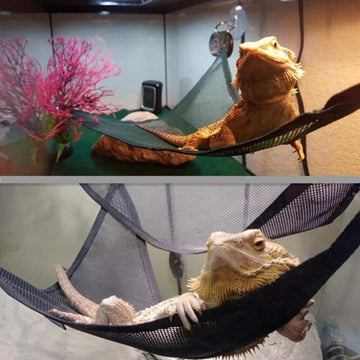 Reptile Hammock Lounger Ladder Accessories-ROROZ PETSUPPLIER