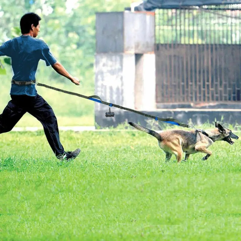 Reflective Leash Traction Rope Pet Dog Running Belt-ROROZ PETSUPPLIER