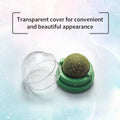 Natural Catnip Cat Wall Stick-on Ball Toy-ROROZ PETSUPPLIER