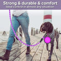 Strong Dog Leash Pet Leashes-ROROZ PETSUPPLIER