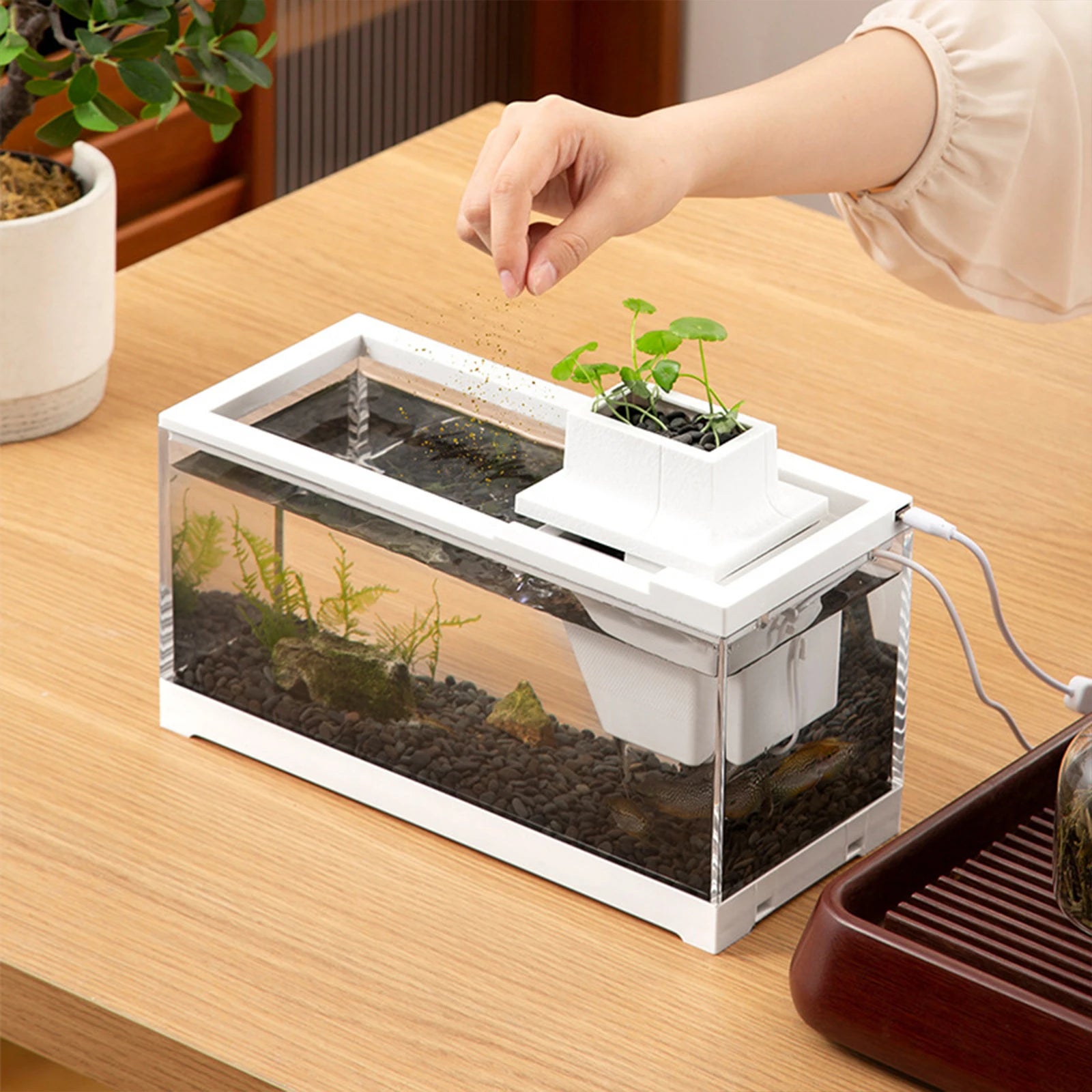 Mini fish landscape creative small tropical tank-ROROZ PETSUPPLIER