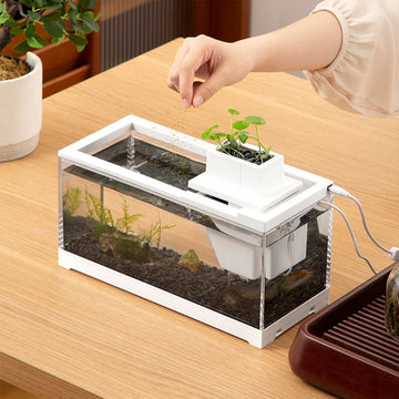 Mini fish landscape creative small tropical tank-ROROZ PETSUPPLIER