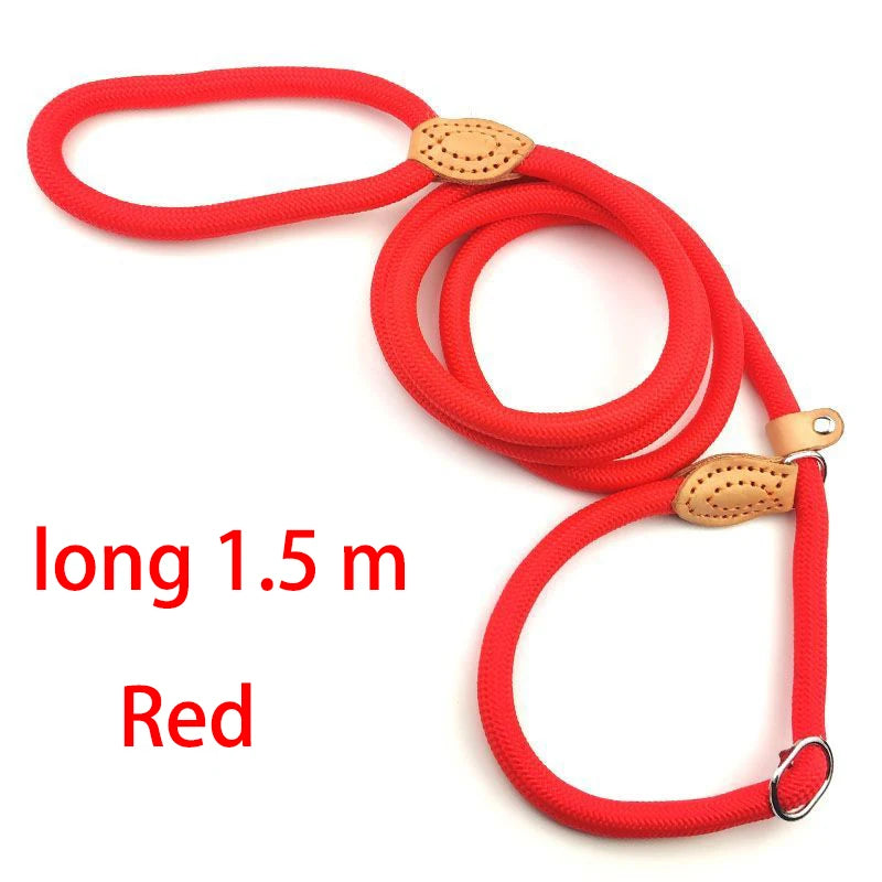 Adjustable Collar Harness Dog Leash-ROROZ PETSUPPLIER