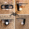 Crested Gecko Feeding Ledge Reptile Water and Food Dish-ROROZ PETSUPPLIER