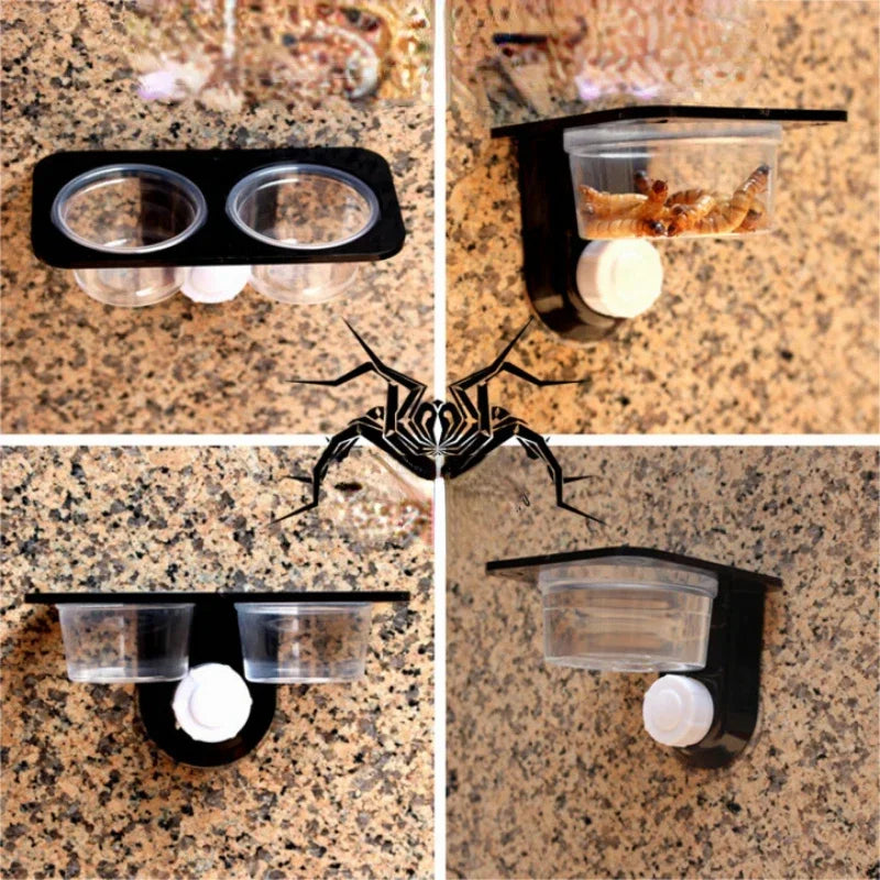 Crested Gecko Feeding Ledge Reptile Water and Food Dish-ROROZ PETSUPPLIER