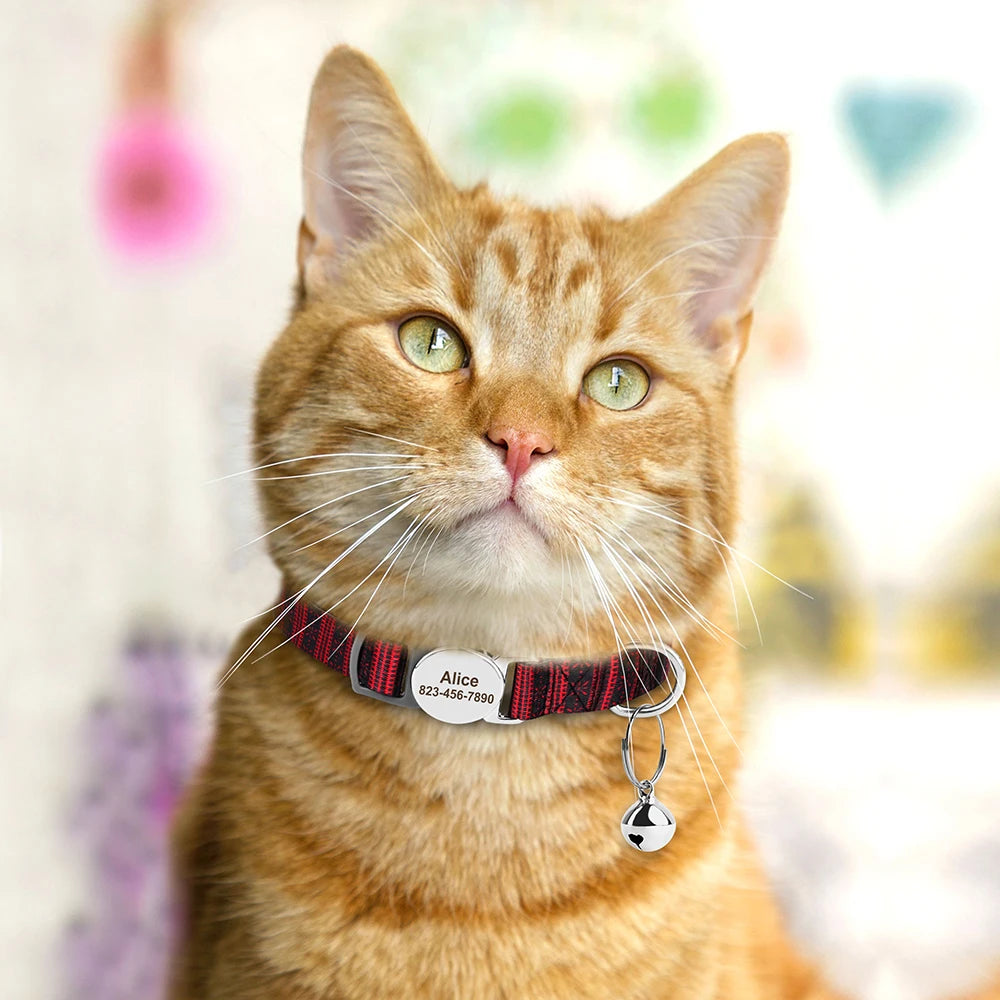 Personalized Printed Cat Collar Adjustable Kitten Puppy Collars-ROROZ PETSUPPLIER