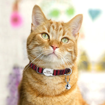 Personalized Printed Cat Collar Adjustable Kitten Puppy Collars-ROROZ PETSUPPLIER