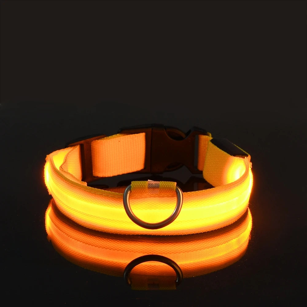 Nylon LED Night Safety Flashing Glow In The Dark Dog Leash-ROROZ PETSUPPLIER