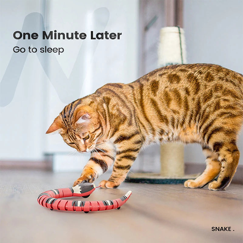 Multiple Color Smart Sensing Snake Interactive Cat Toys-ROROZ PETSUPPLIER