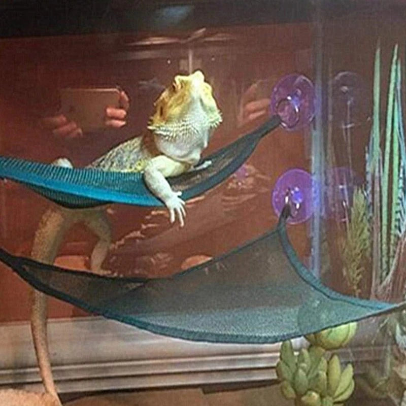 Reptile Hammock Lounger Ladder Accessories-ROROZ PETSUPPLIER
