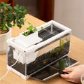 Mini fish landscape creative small tropical tank-ROROZ PETSUPPLIER