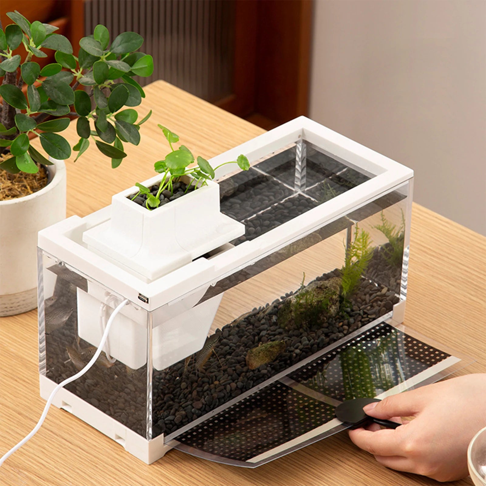 Mini fish landscape creative small tropical tank-ROROZ PETSUPPLIER