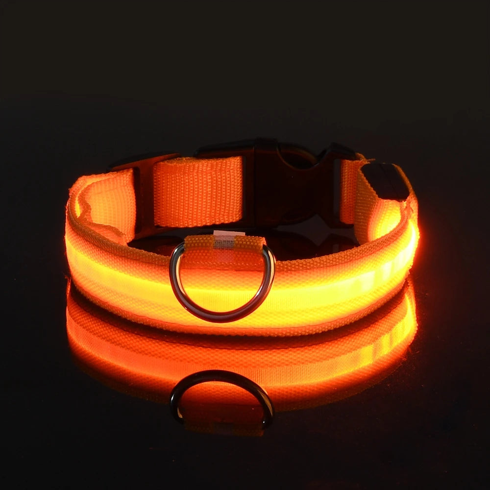 Nylon LED Night Safety Flashing Glow In The Dark Dog Leash-ROROZ PETSUPPLIER