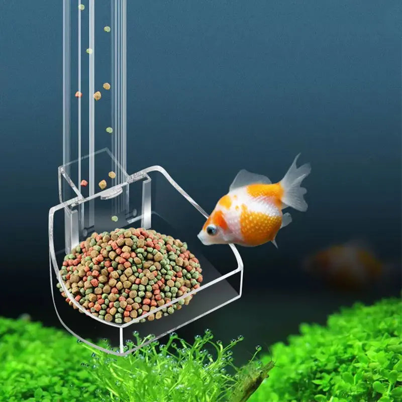 Aquarium Acrylic Feeding tube Anti-stuck fish-ROROZ PETSUPPLIER