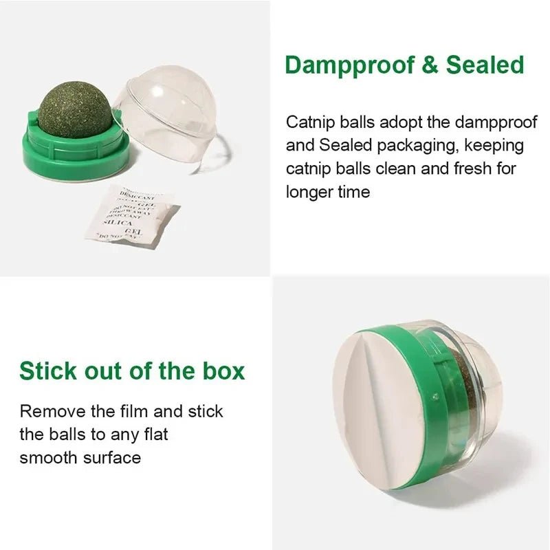 Natural Catnip Cat Wall Stick-on Ball Toy-ROROZ PETSUPPLIER