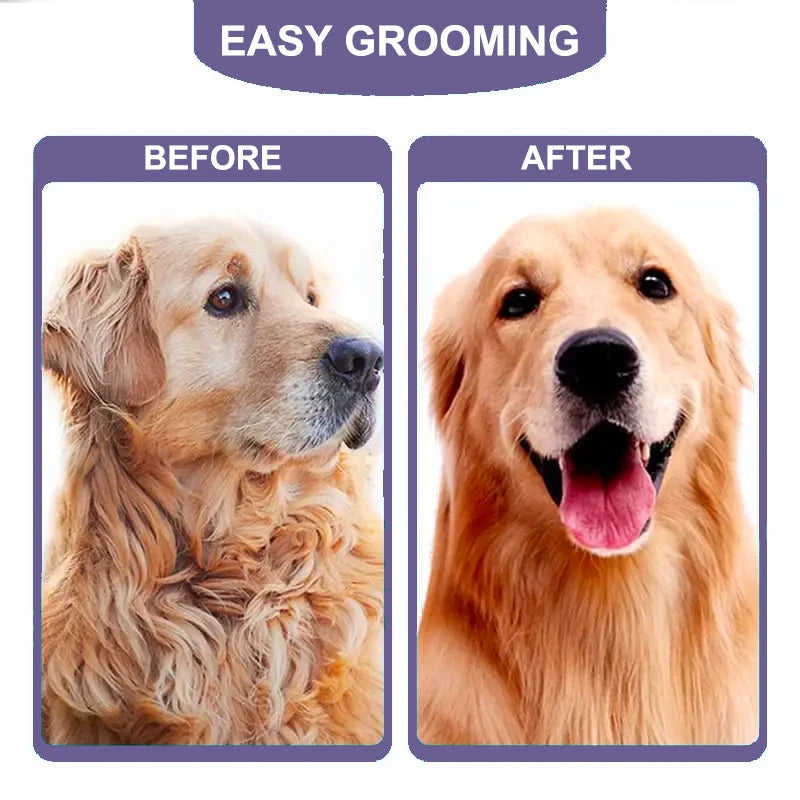 Dog Brush Grooming Accessories-ROROZ PETSUPPLIER