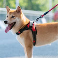 Pet Adjustable Harness Small and Large Dog Harness Vest-ROROZ PETSUPPLIER