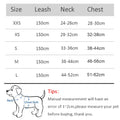 Harness Leash Set for Small Dogs-ROROZ PETSUPPLIER