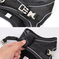 Harness Leash Set for Small Dogs-ROROZ PETSUPPLIER