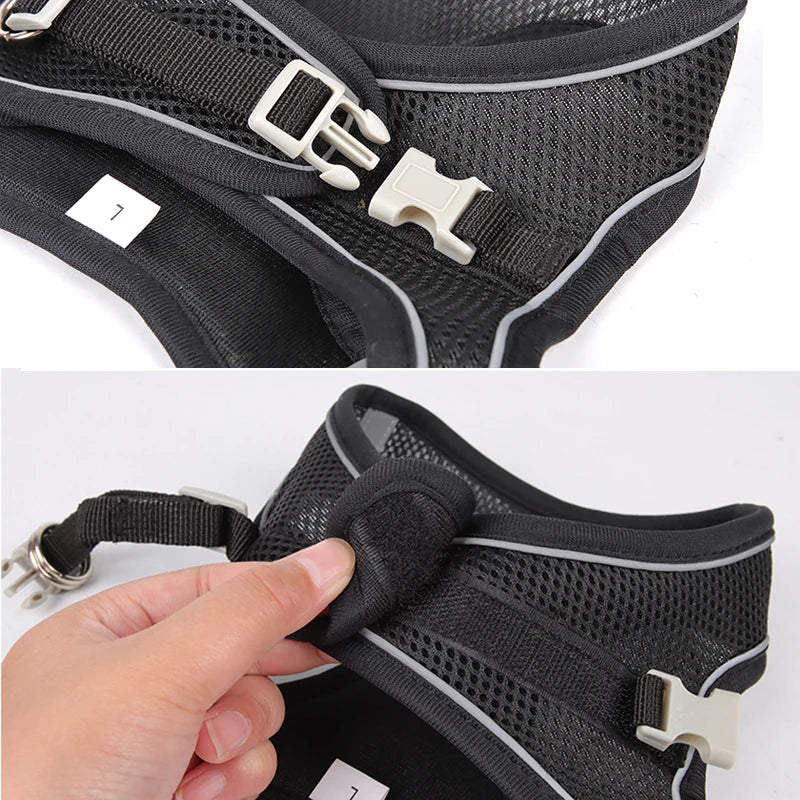 Harness Leash Set for Small Dogs-ROROZ PETSUPPLIER