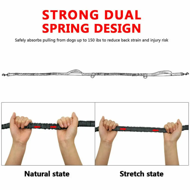 Reflective Leash Traction Rope Pet Dog Running Belt-ROROZ PETSUPPLIER