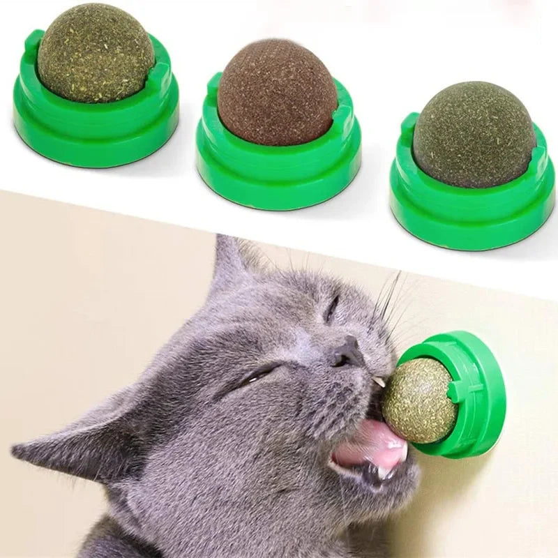 Natural Catnip Cat Wall Stick-on Ball Toy-ROROZ PETSUPPLIER