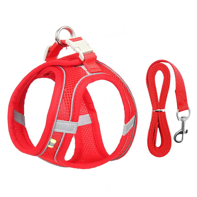Harness Leash Set for Small Dogs-ROROZ PETSUPPLIER