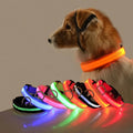 Nylon LED Night Safety Flashing Glow In The Dark Dog Leash-ROROZ PETSUPPLIER