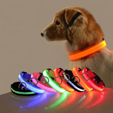 Nylon LED Night Safety Flashing Glow In The Dark Dog Leash-ROROZ PETSUPPLIER