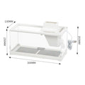 Mini fish landscape creative small tropical tank-ROROZ PETSUPPLIER
