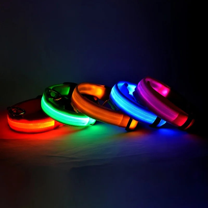 Nylon LED Night Safety Flashing Glow In The Dark Dog Leash-ROROZ PETSUPPLIER