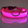 Nylon LED Night Safety Flashing Glow In The Dark Dog Leash-ROROZ PETSUPPLIER