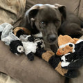 Funny Simulated Animal No Stuffing Dog Toy-ROROZ PETSUPPLIER