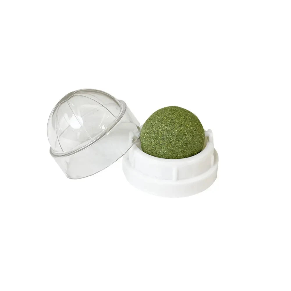 Natural Catnip Cat Wall Stick-on Ball Toy-ROROZ PETSUPPLIER