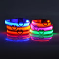 Nylon LED Night Safety Flashing Glow In The Dark Dog Leash-ROROZ PETSUPPLIER