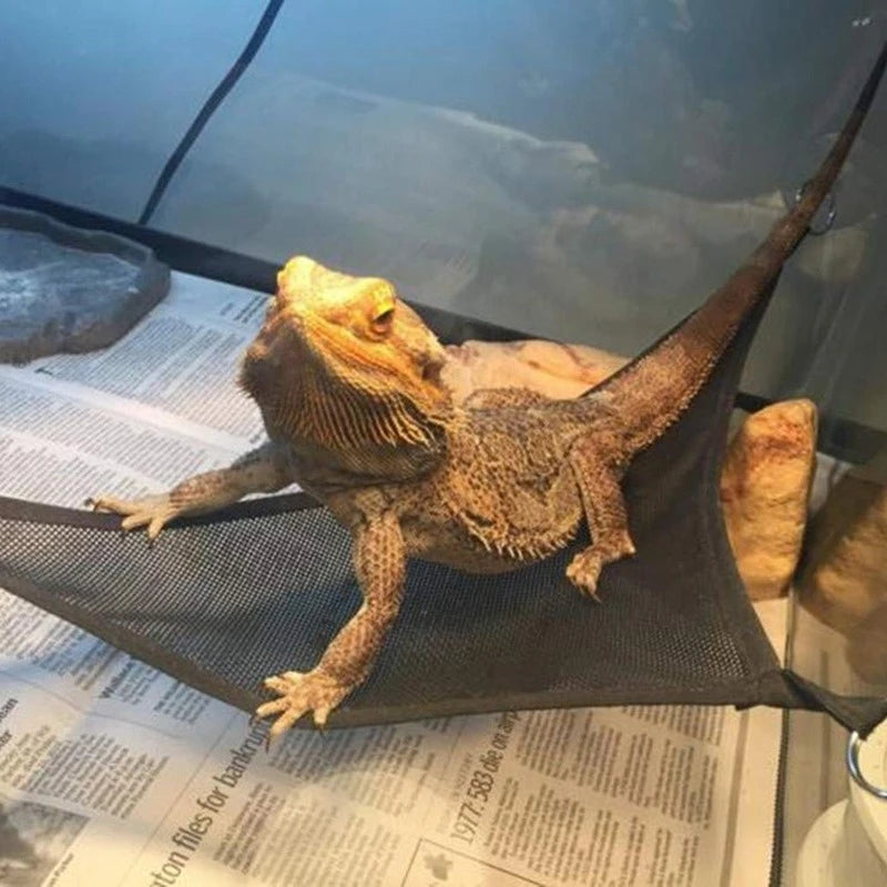 Reptile Hammock Lounger Ladder Accessories-ROROZ PETSUPPLIER